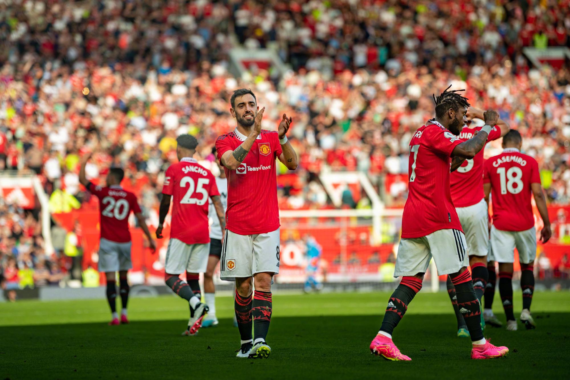 将显著增加 将显著增加